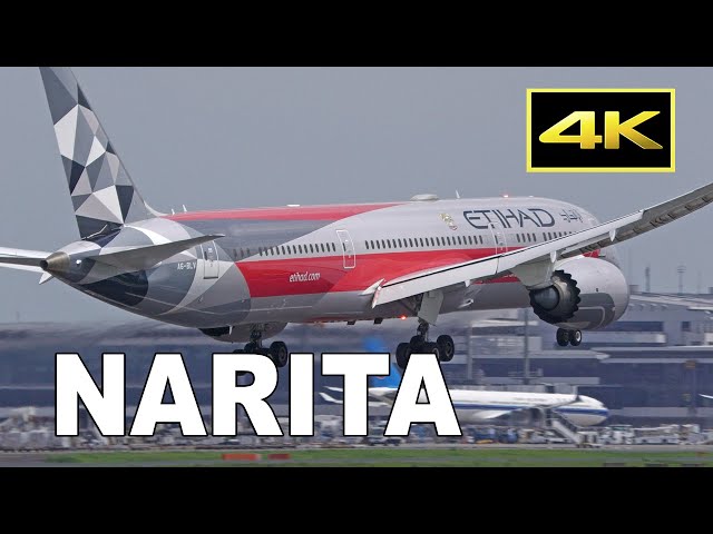 最終値下げ中 エティハド航空Boeing787-9（特別塗装） mqdefault.jpg