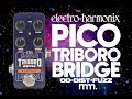 MusicMaker Presents - EHX PICO TRIBORO BRIDGE: Bridging The Gap