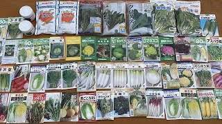 8月にまける野菜の種・秋と冬に育てる野菜の品種の選び方