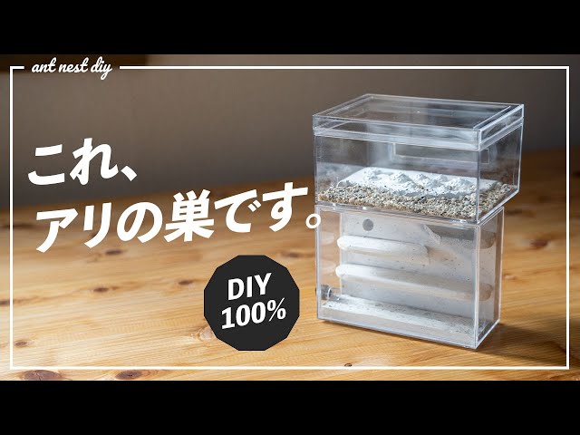 アリの石膏巣 試作品