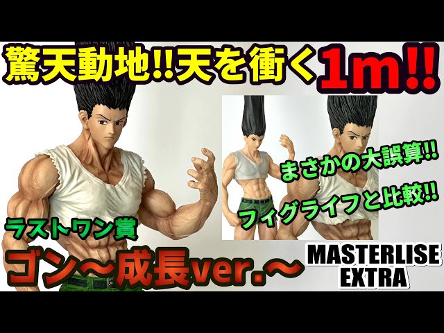 Review] Last One Prize: Gon ~Grown-Up Ver.~ MASTERLISE EXTRA