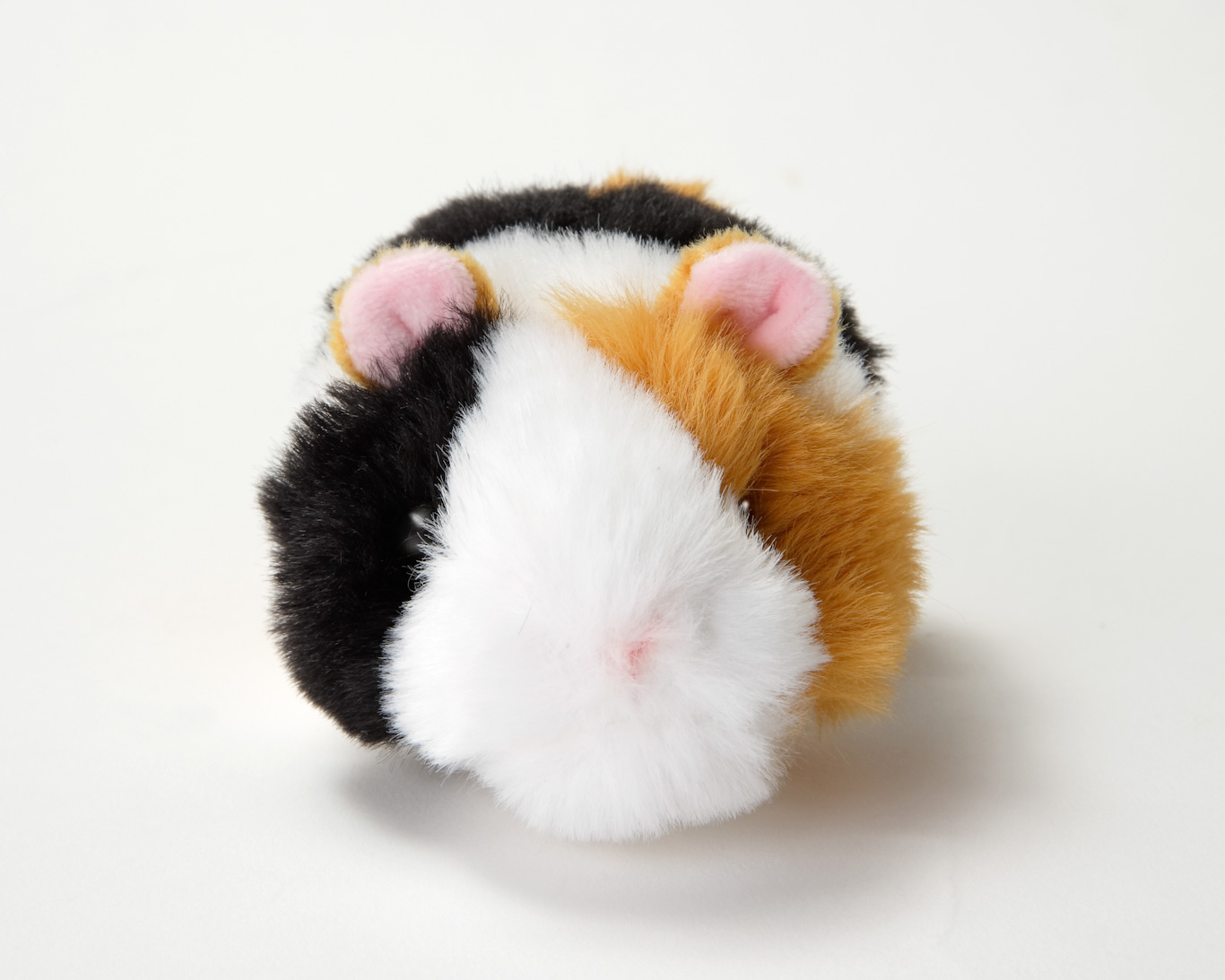 ゆず☆モルモット服 こどもサイズ3点おとなサイズ1点 ゆず☆モルモット