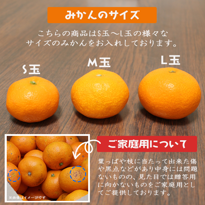 予約商品】とれたて媛一みかん サイズ混合 10kg＜ご家庭用＞ | 媛一お