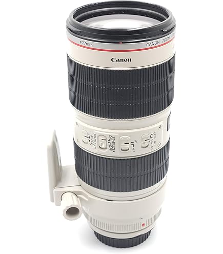 Amazon.co.jp: Canon EF 24-105mm f/4L IS II USM : Electronics