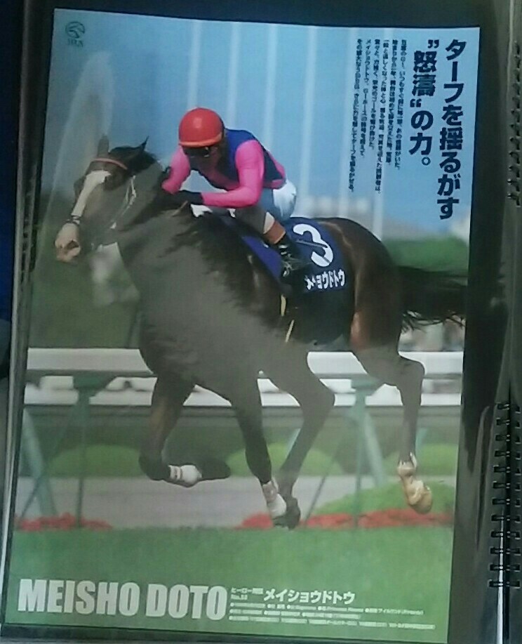 ヒーロー列伝 ポスター B3 メイショウドトウ等 JRA 競馬