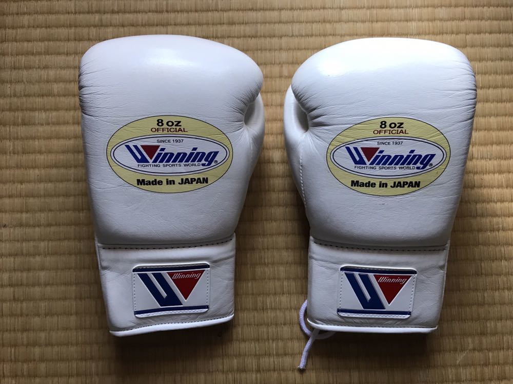 Winning ウイニング ボクシンググローブ プロフェッショナルタイプ 8