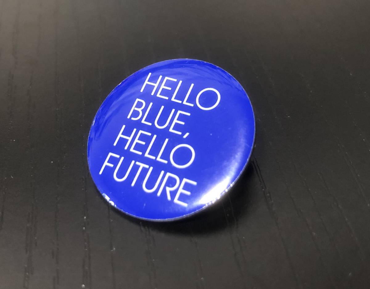 非売品】ANA ピンバッチ Hello Blue Hello Future ANA ピンバッジ