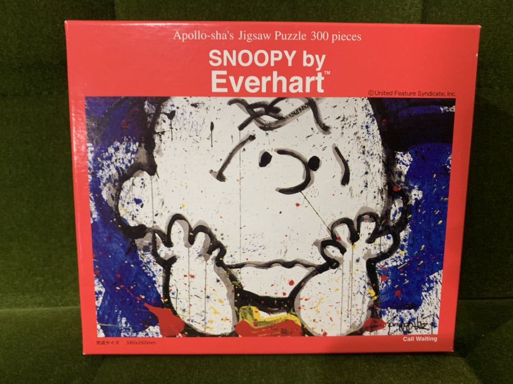 TOM EVER HART スヌーピーアートパズル