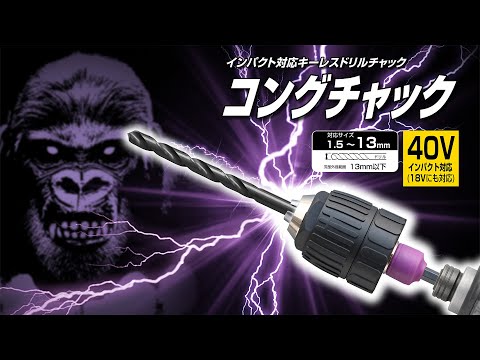 アーテルゴルギーニ b 即日発送 アーテルゴルギーニ b 即日発送