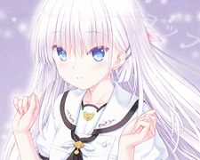 デッキ紹介 8扉サマポケ | トレカの買取・通販ならカードショップ -遊々亭-