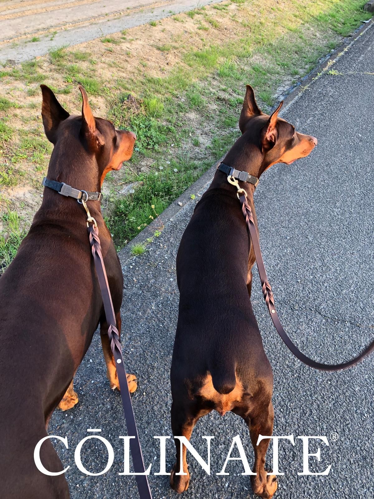 大型犬/超大型犬用 リード サブグリップ 高級本革】2ハンドル ブレイ