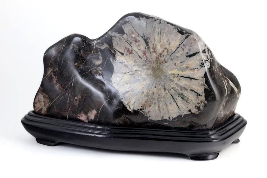 黄金菊花石 岩手県 陸中川井産 天然石 【公式通販】