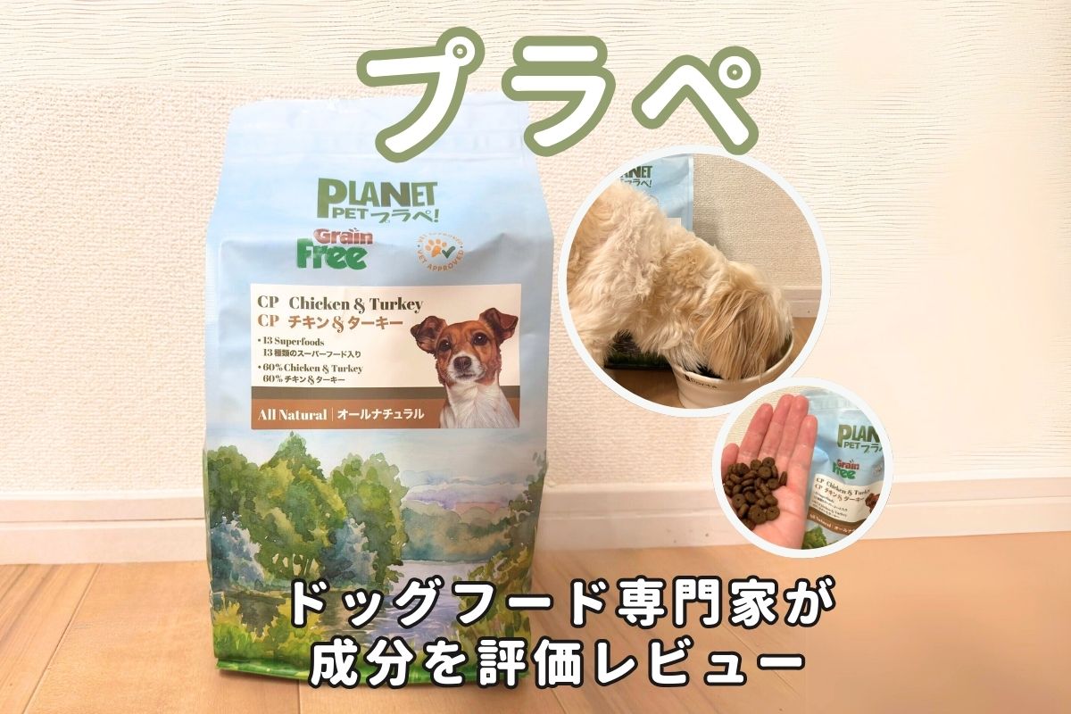 PLANET PET CP チキン&ターキー2kg プラぺ ドッグフード｜CP チキン