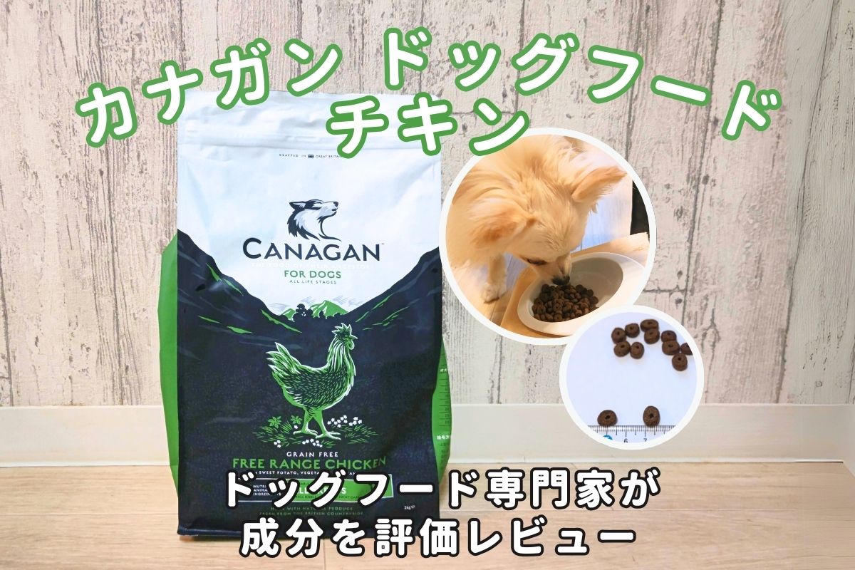 カナガンドッグフードチキンの口コミ評判は？辛口獣医師の評価や飼い主