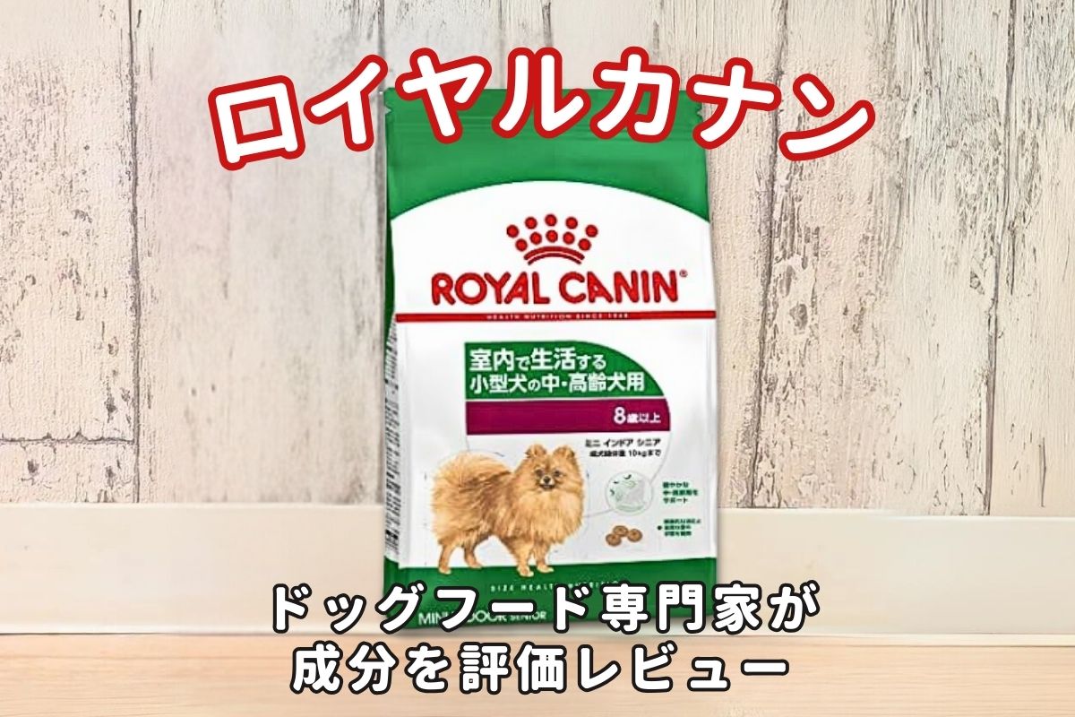 超特価ロイヤルカナン中大型犬マキシアダルトお得用16kg ROYAL CANIN 大型