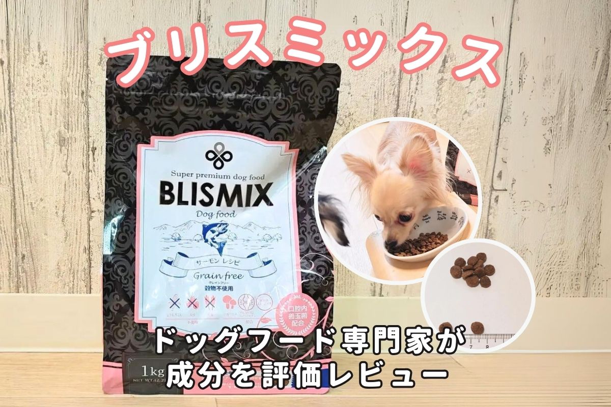 ブリスミックスドッグフードの口コミ評判は？専門家が実際に購入して