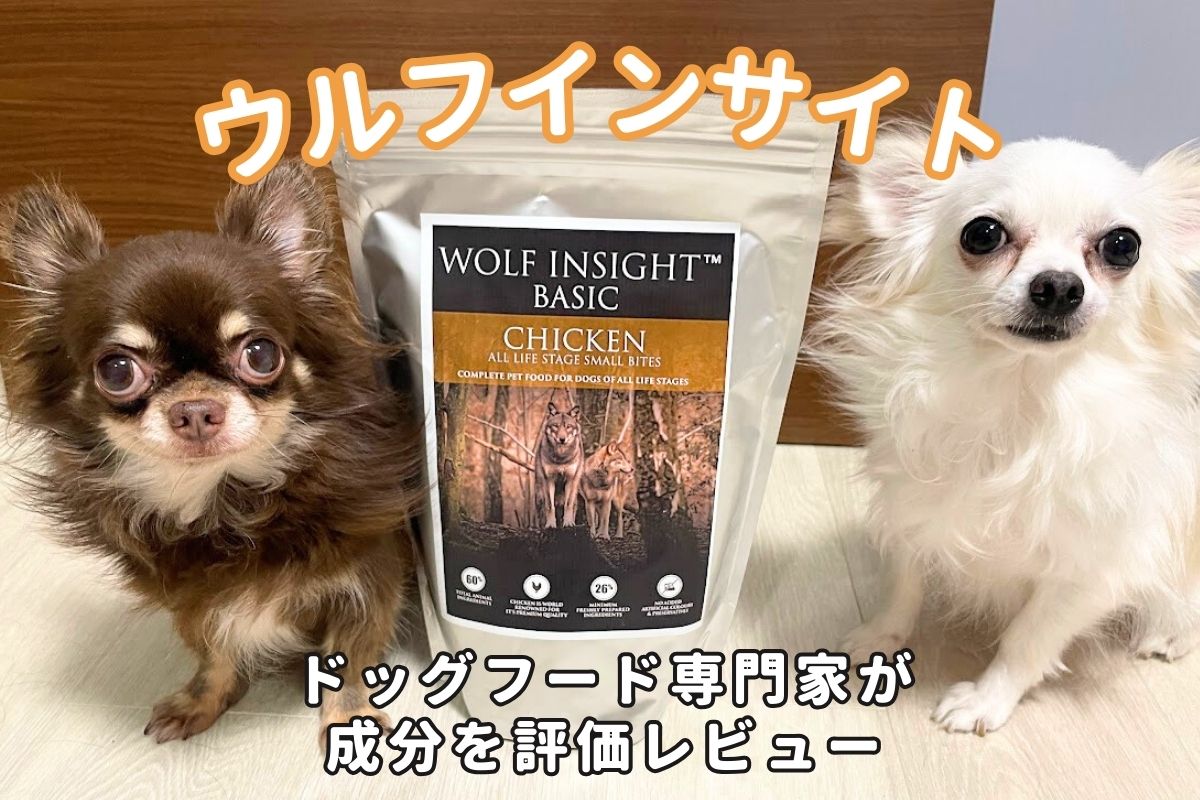 ウルフインサイトドッグフードの口コミ評判は？安全性と原材料を専門家