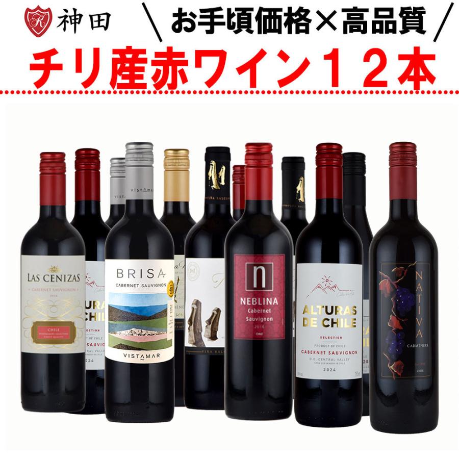 チリ産赤ワイン 12本 飲み比べセット 750ml×12本 バレンタイン : 神田