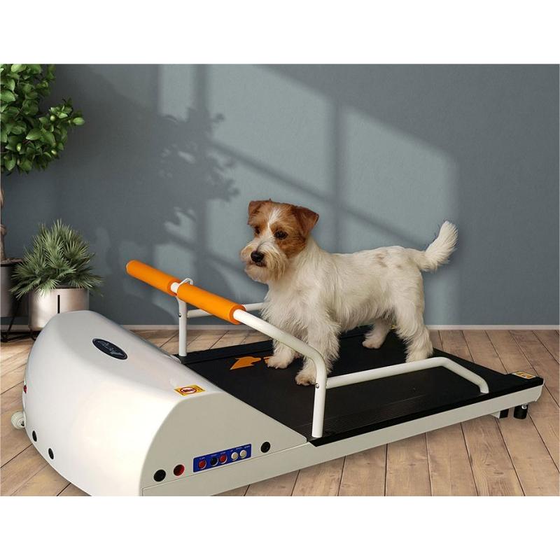 ペットラン PR-700 ［小型犬用運動器］ 全長1m10cm : サンセイヤフー