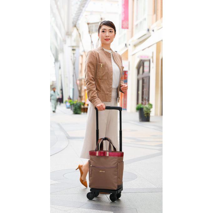 SWANY（スワニー） キャリーバッグ 公式 ショッピングカート キャリー