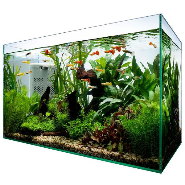 Tetra（テトラ） サイレントフレックスセット 60 60cmフレームレス