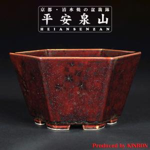 盆栽鉢 二代東福寺緑釉楕円鉢 植木鉢 平安東福寺 水野勇 落款あり