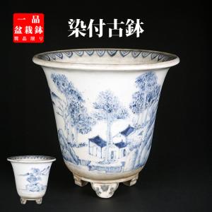 盆栽鉢 植木鉢 「紫泥外縁雲足長方鉢」 陶器 5号 16cm 焼締 尚古堂型