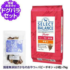 SELECT BALANCE セレクトバランス パピー チキン小粒 7kg×2個＋選べる