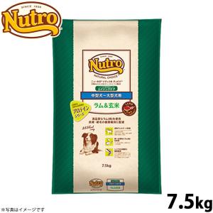 ORIJEN（オリジン） シニア 6kg (正規品) 総合栄養食 高齢犬用 高