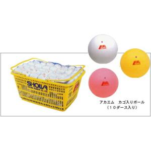 ケンコー・トキナー（KenkoTokina） 『即日出荷』「ネーム入れ対象外