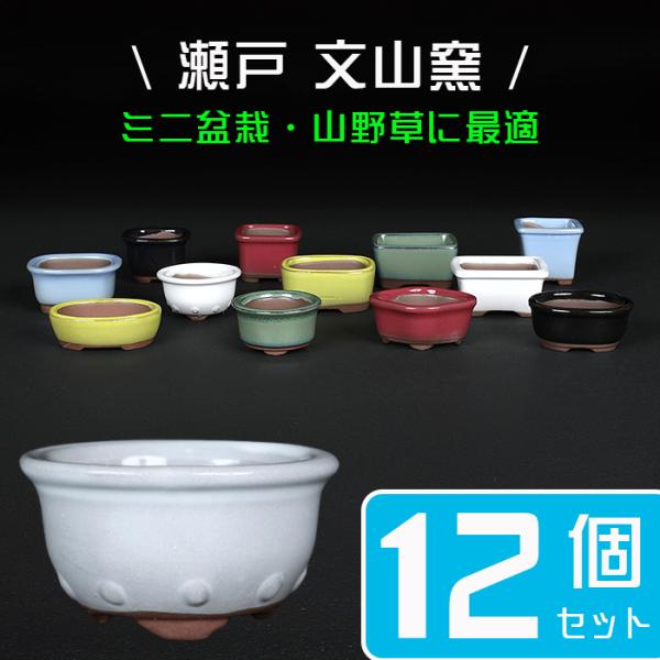 2025年最新】盆栽鉢 楕円の人気アイテム - メルカリ 盆栽鉢／赤絵山水