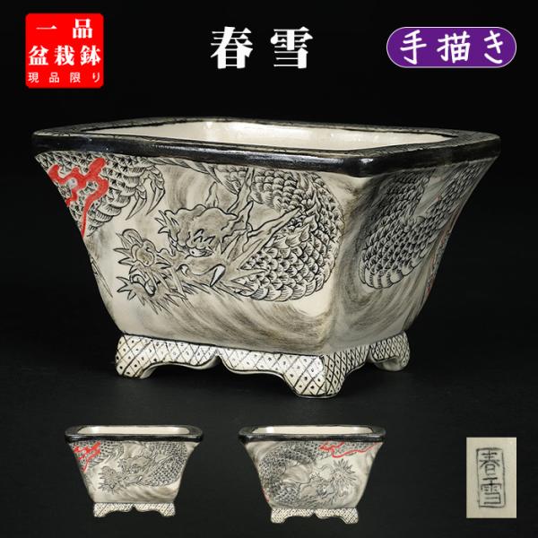 盆栽鉢 「春雪墨絵龍図長方鉢」 植木鉢 絵付 シュンセツ 磁器 4号 12cm