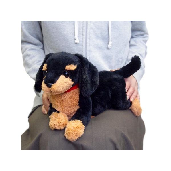 ひざわんこ ミニチュアダックス ブラック ダックスフント 犬