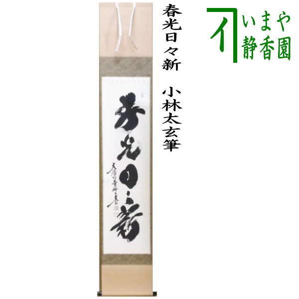 茶道具 掛軸 掛け軸 一行 春光日々新 小林太玄筆 茶道 : 茶道具いまや