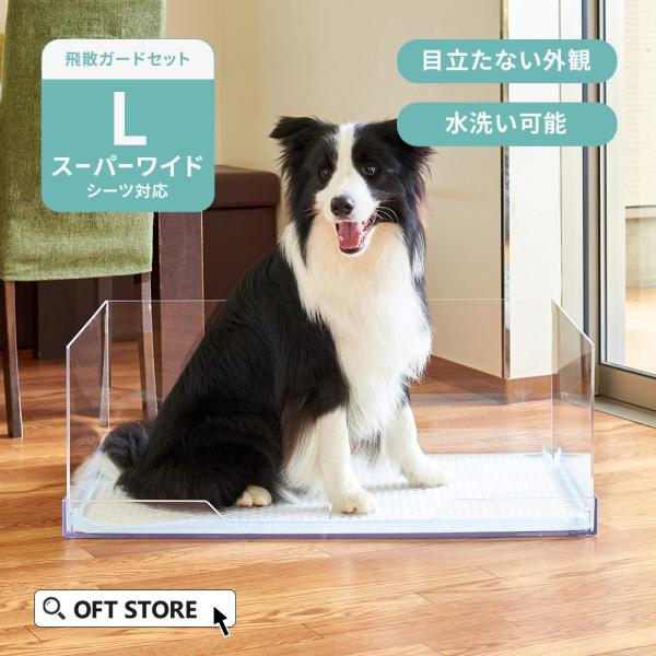 ip-plus_clearlet2-s-wide-hisan