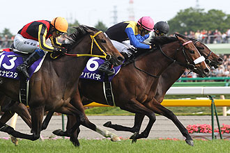 JRAホームページ｜データファイル｜競走成績データ