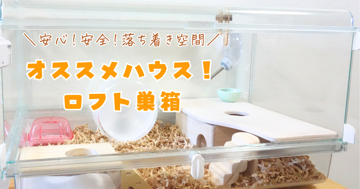 ナツメ様確認用グラスハーモニー450用ロフト巣箱(ハウスルーミィ