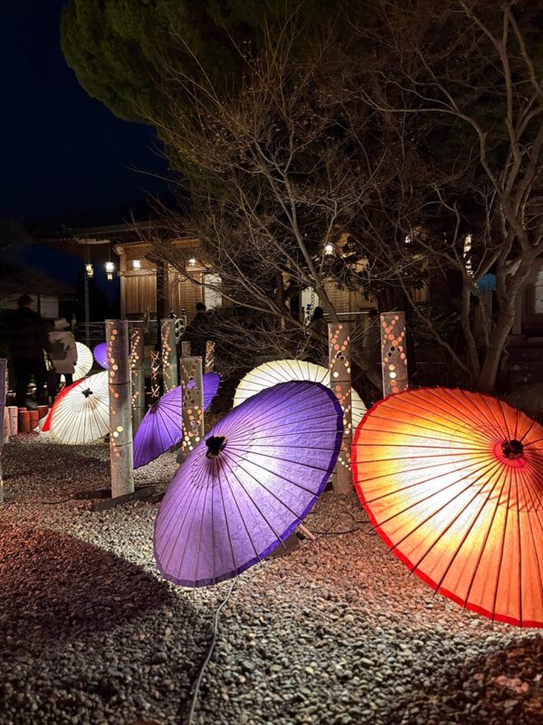 第23回 山鹿灯籠浪漫・百華百彩』2025年3月1日まで毎週金曜・土曜日に