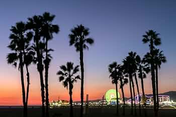 61n73kR3tbL._AC_UF350,