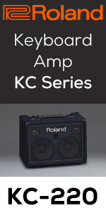Amazon.co.jp: ROLAND KC-220 キーボード用アンプ : 楽器・音響機器