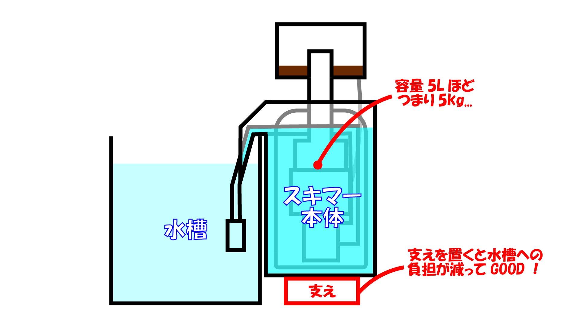 海道達磨 プロテインスキマー 海道達磨プロテインスキマー：海道