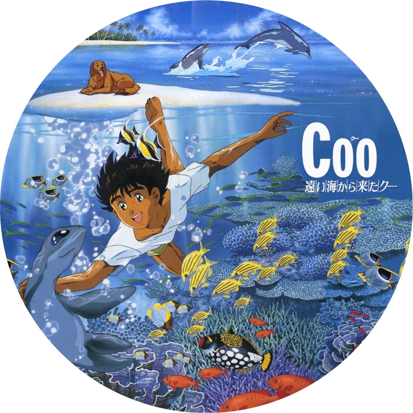 Coo／遠い海から来たクー | meechanmama(みーちゃんママ)の部屋