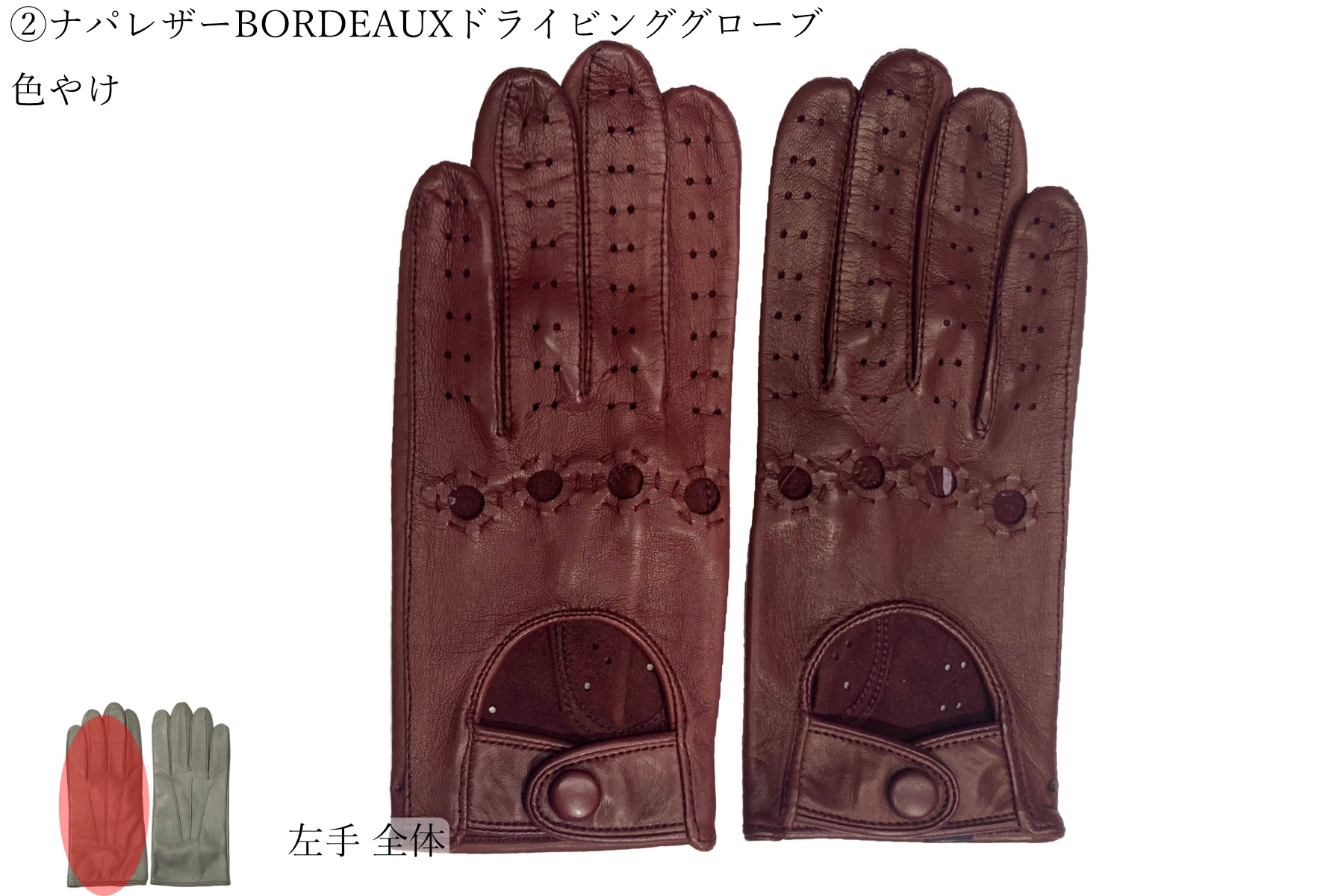 コルク色 メッシュ メローラ MEROLA ディア ドライビンググローブ