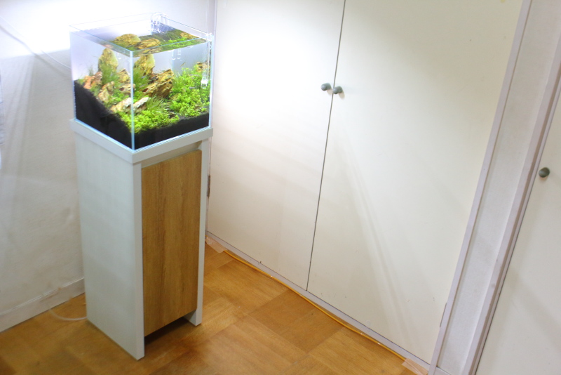 ホワイト 水槽台・キャビネット 1台限定 30cmキューブ水槽用