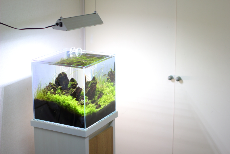 アクロ トライアングルグロープロ 600❗️ 最強光量 アクロ