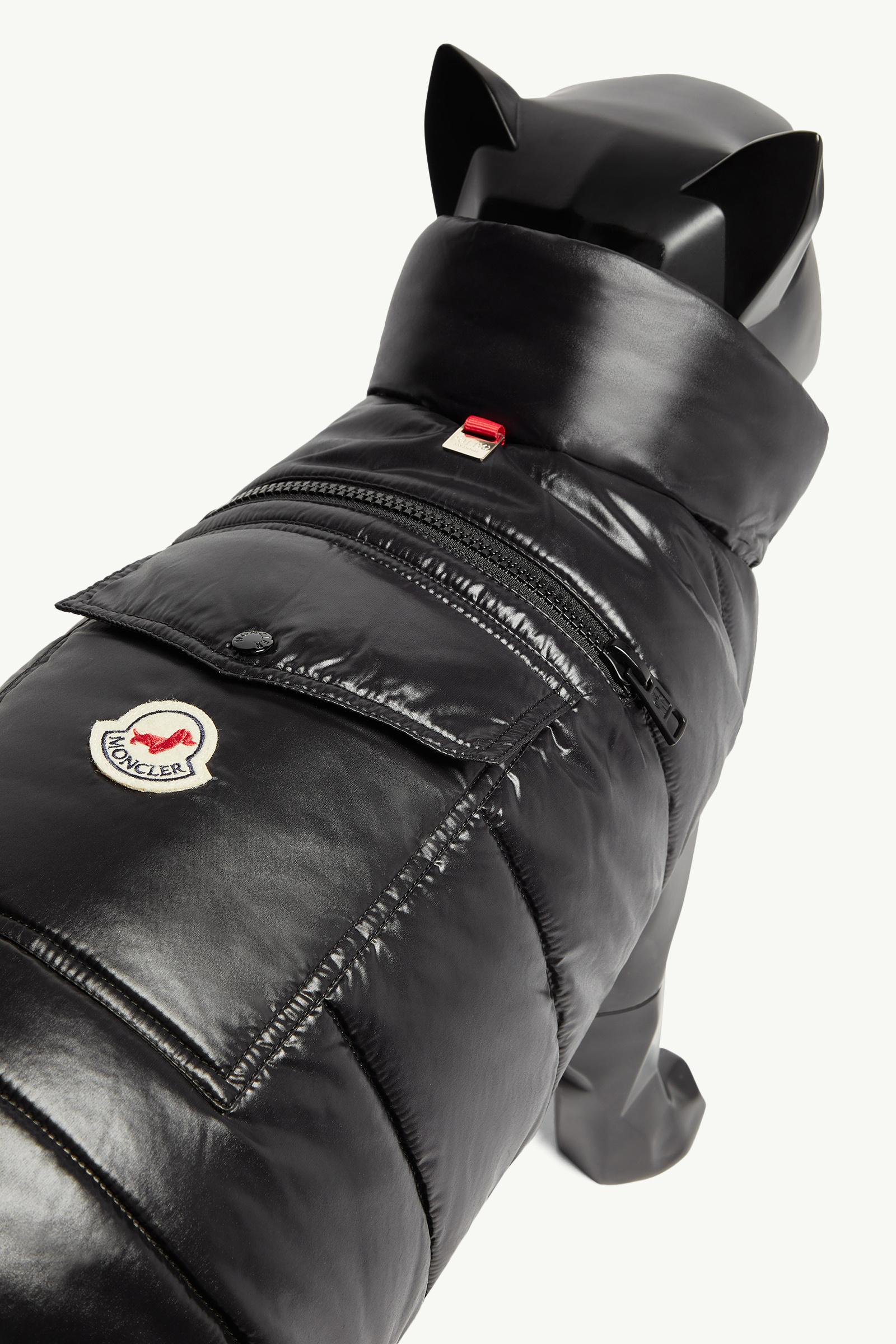 ブラック ドッグベスト : Moncler Poldo Dog Couture 向けの Special
