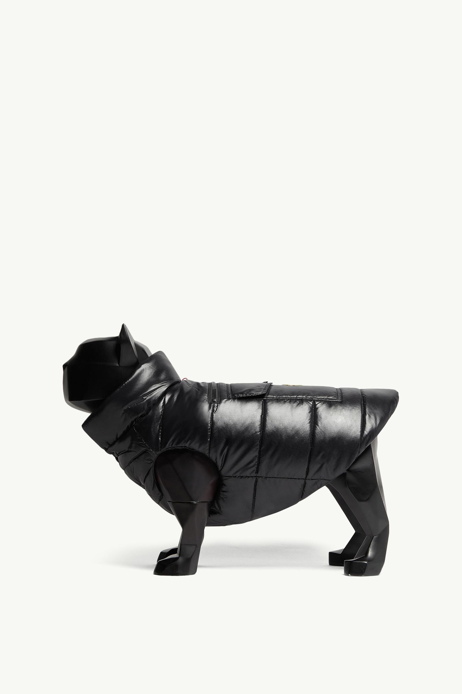 ブラック ドッグベスト : Moncler Poldo Dog Couture 向けの Special