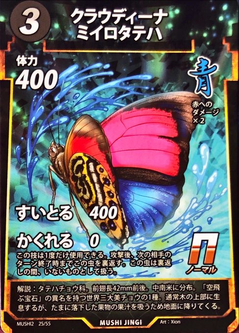 ミイロタテハ アグリアス 蝶標本 クラウディナミイロタテハ メス H