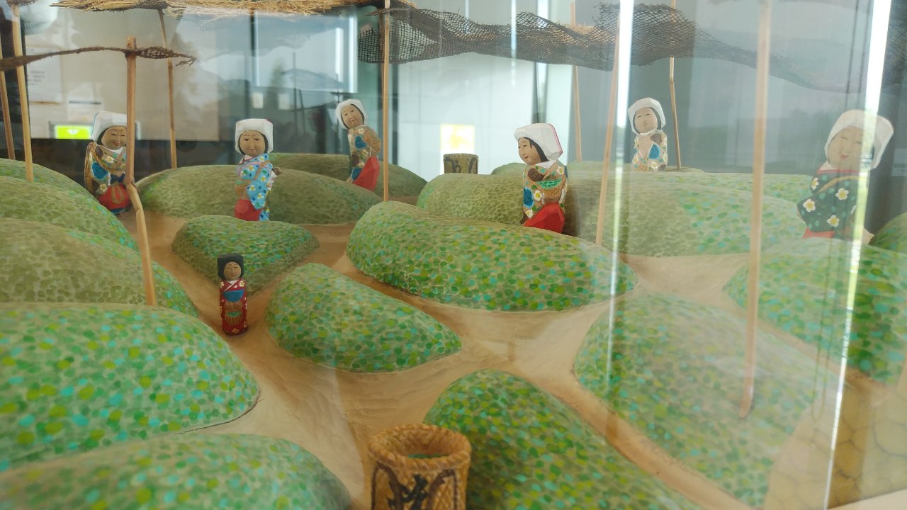 日本でも宇治地域だけ。茶の木でつくる「茶の木人形」｜ブログ｜お茶の