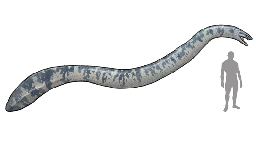 パラエオフィス・川崎悟司イラスト集